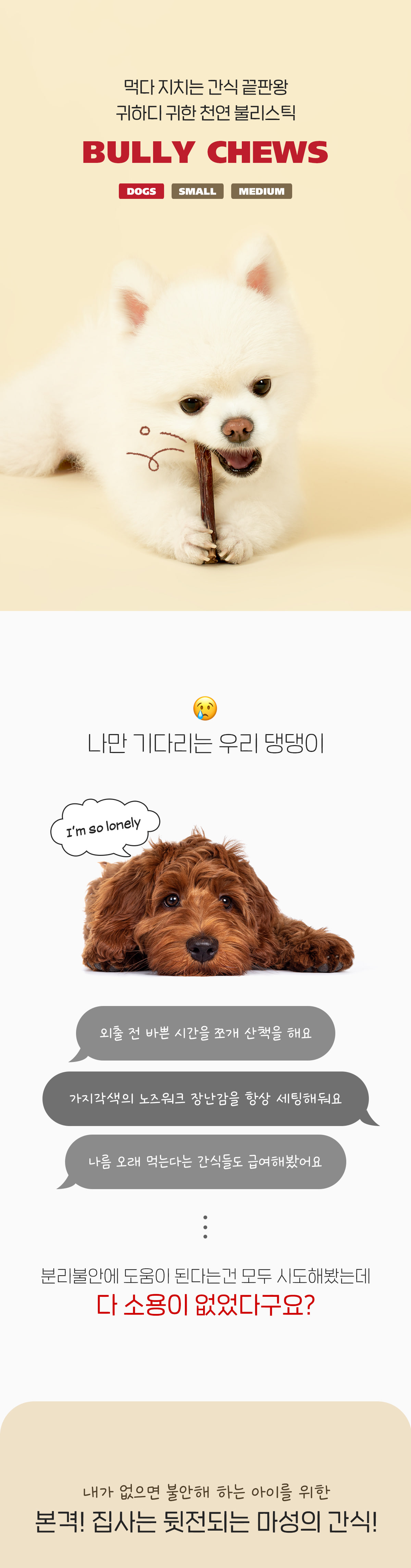 불리츄 M 사이즈 상세 이미지 2